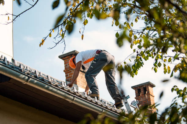 Best Storm Damage Roof Repair  in Corydon, IN